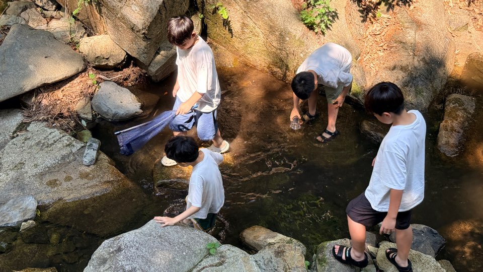 681066388364c6aa9e6151c1f3a703fd_1789118415_43.jpg